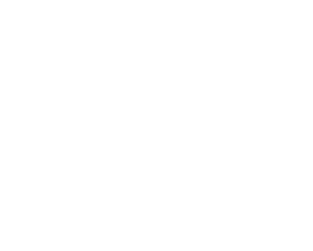 Logo_IBA_F_W