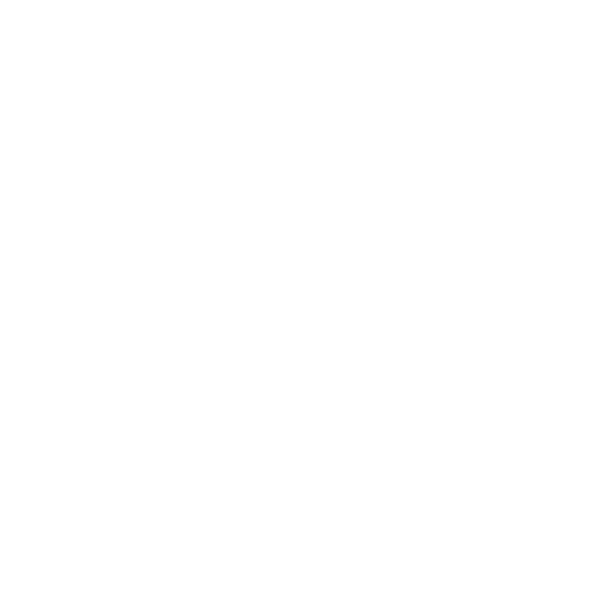 Logo_IBA_W